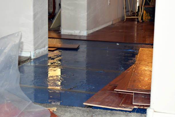 Professional Sewage Cleanup technician working in Colchester, CT